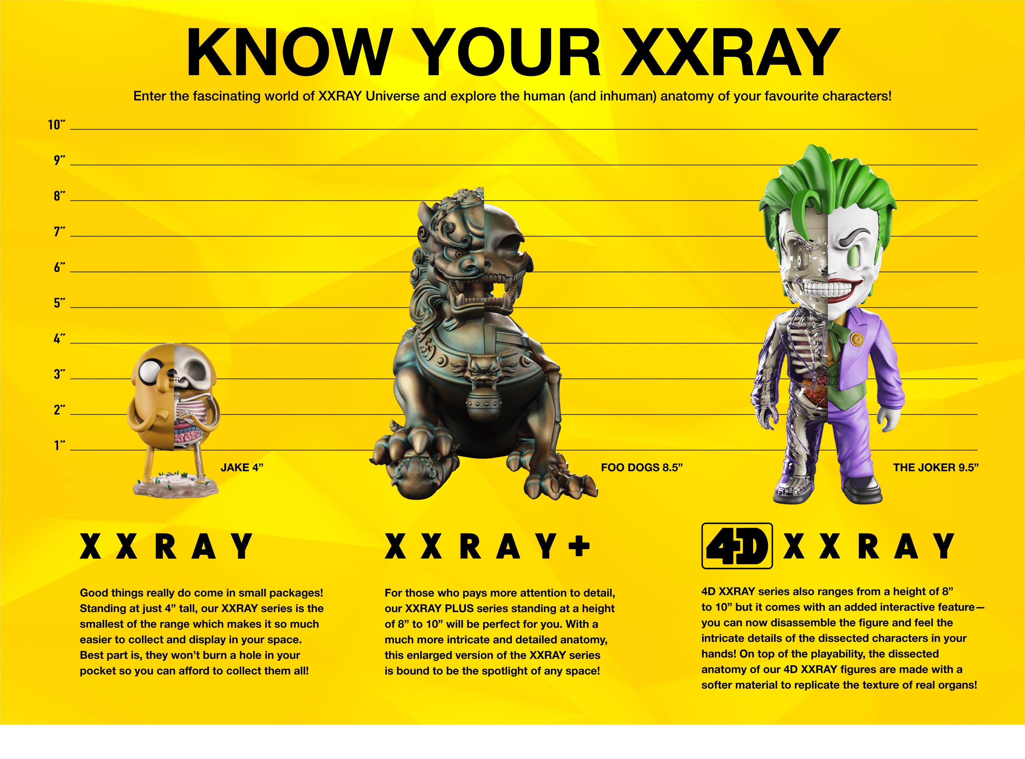 Do you know your XXRAY well enough?
