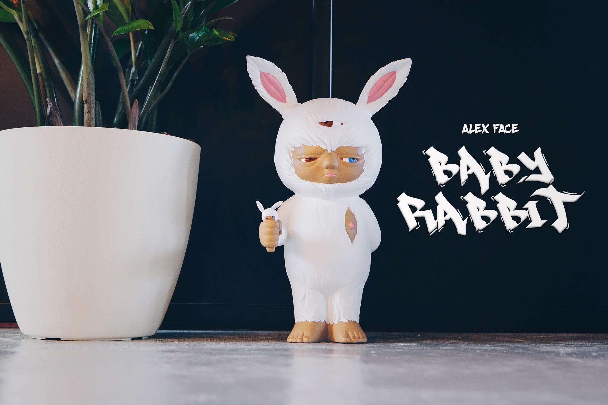 Peer into Baby Rabbit's World