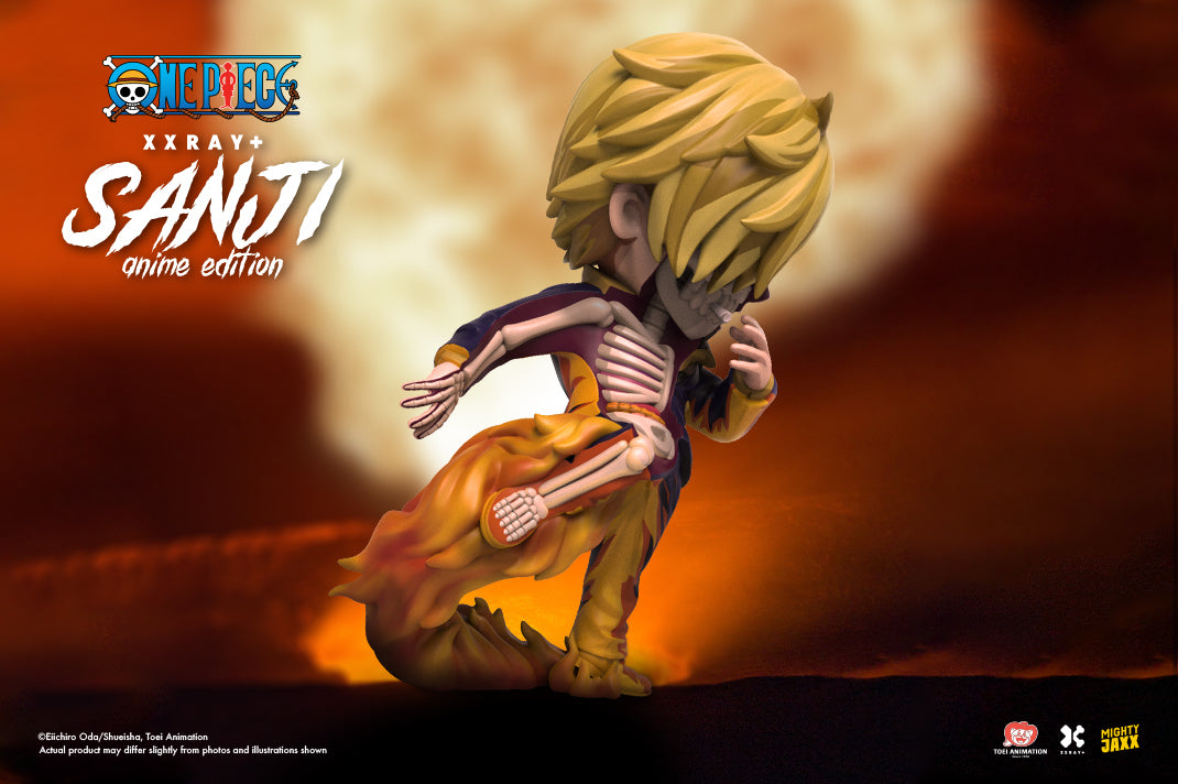 Diable Jambe with the XXRAY Plus Sanji (Anime Edition)