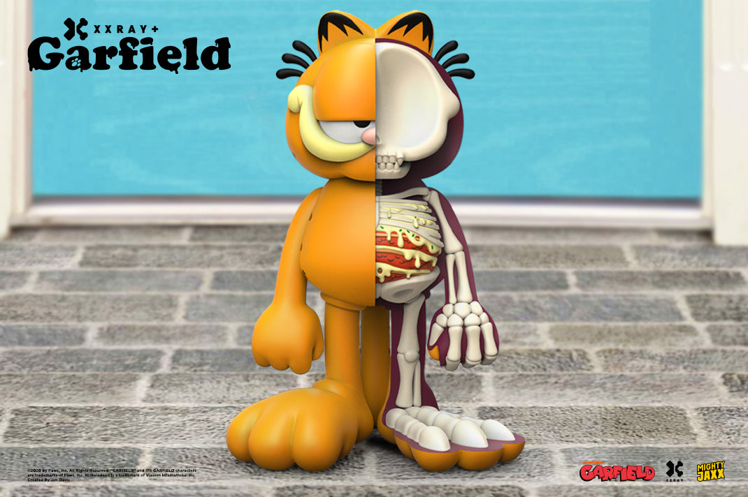 Fun Facts with XXRAY Plus Garfield
