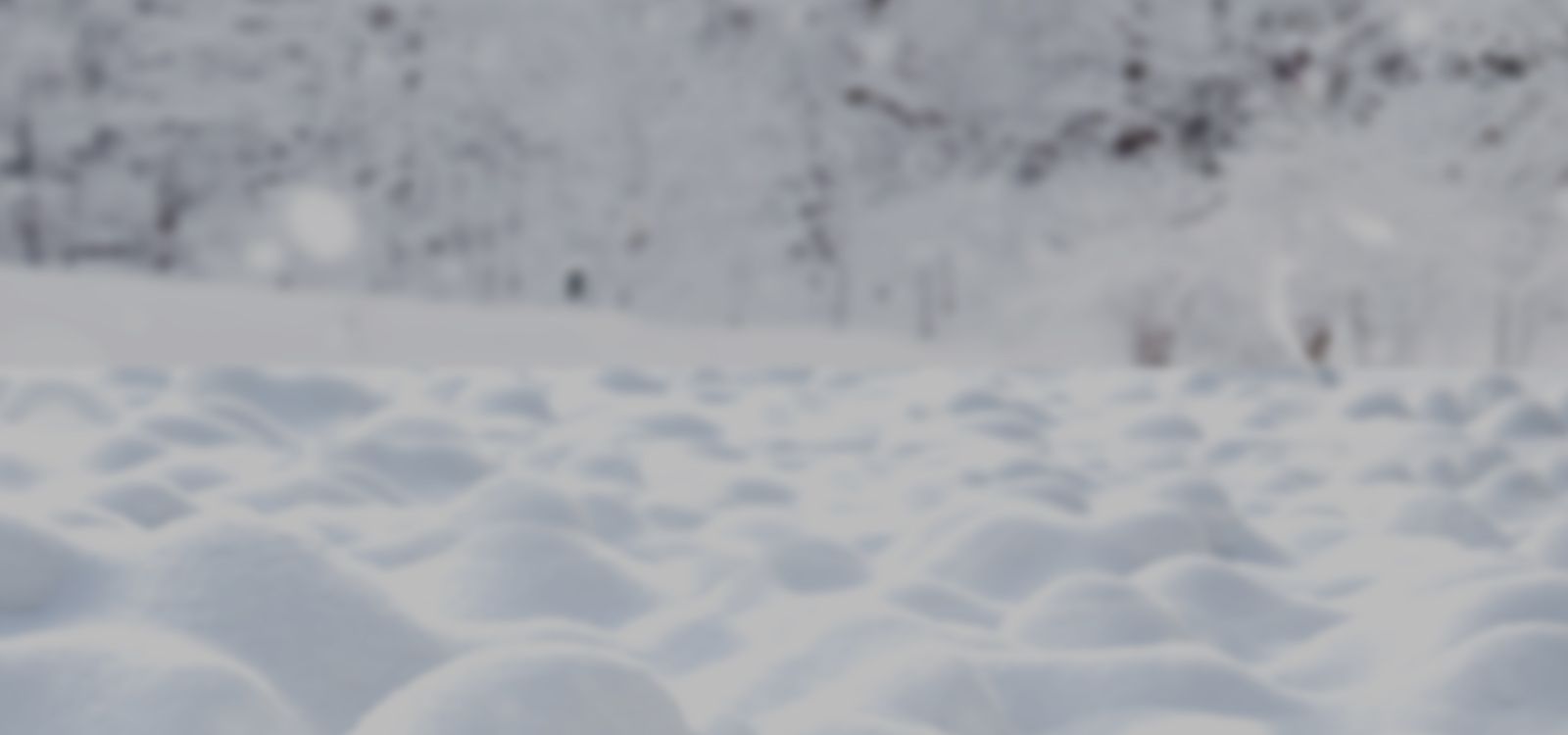 Kandy: Sanrio Snowy Dreams - 图片 9
