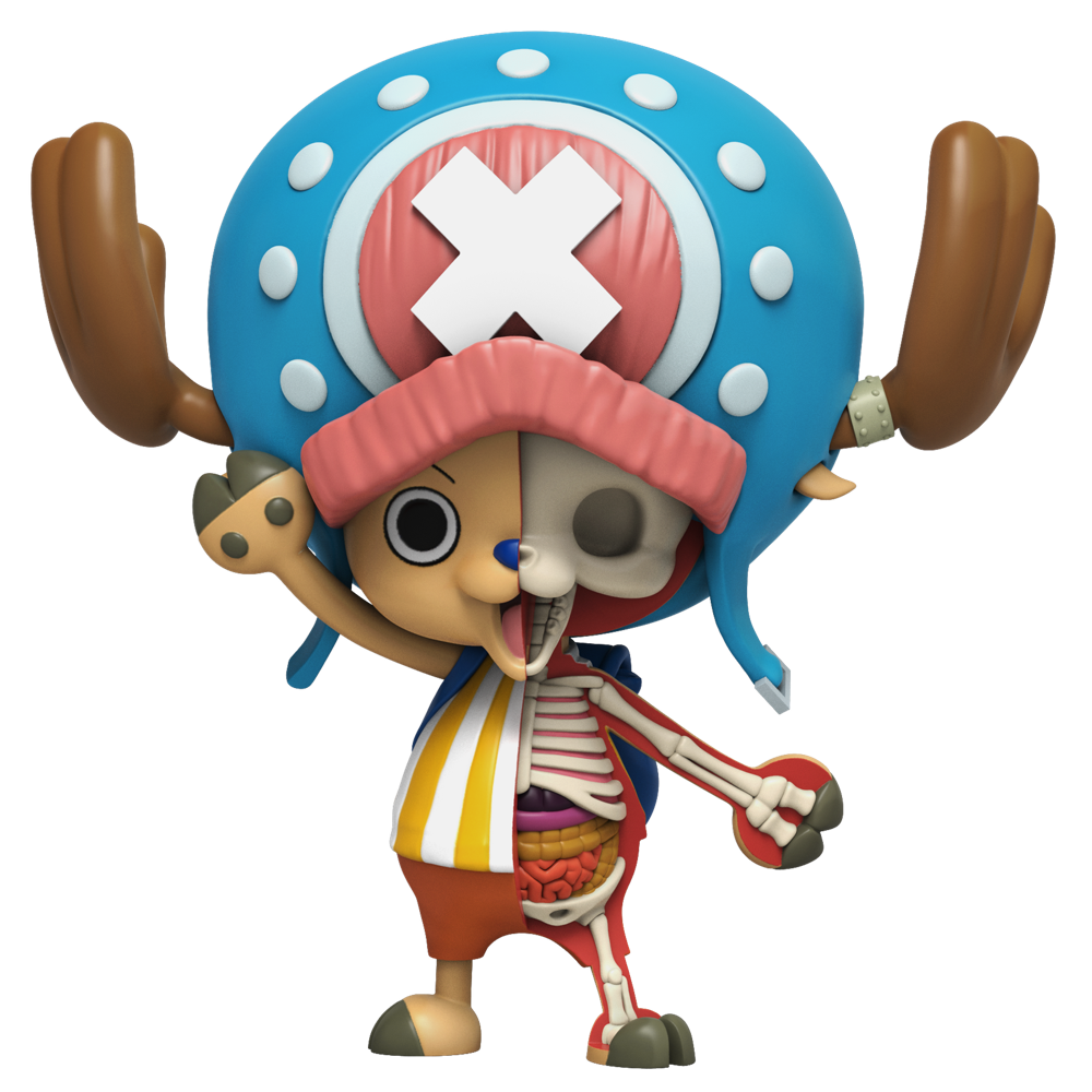 Adorable doctor's anatomy exposed! Chopper's reindeer-human hybrid structure revealed in Freeny's style, showing his caring soul.