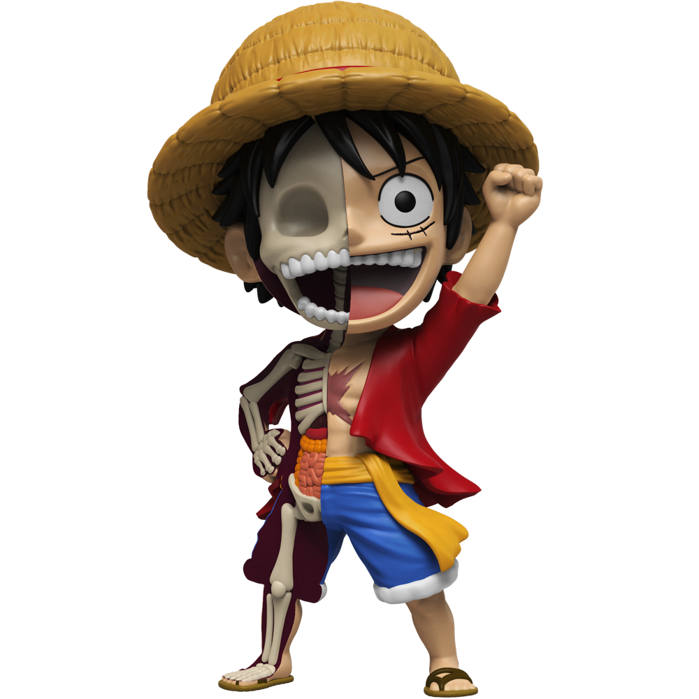 Future Pirate King revealed! Luffy's rubbery anatomy is dissected in Freeny's iconic style, showing his adventurous heart within.