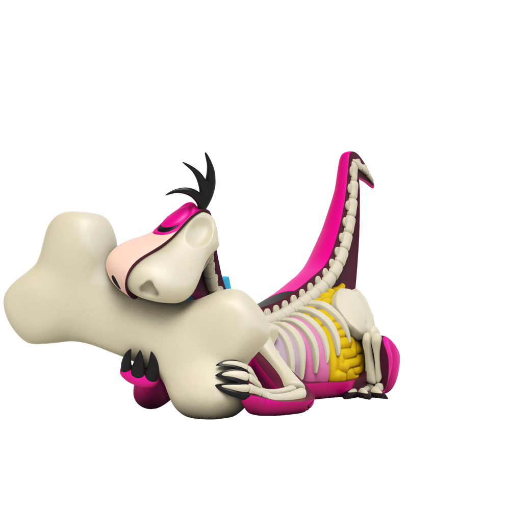XXRAY Plus: Dino