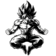 AnimaeXArt