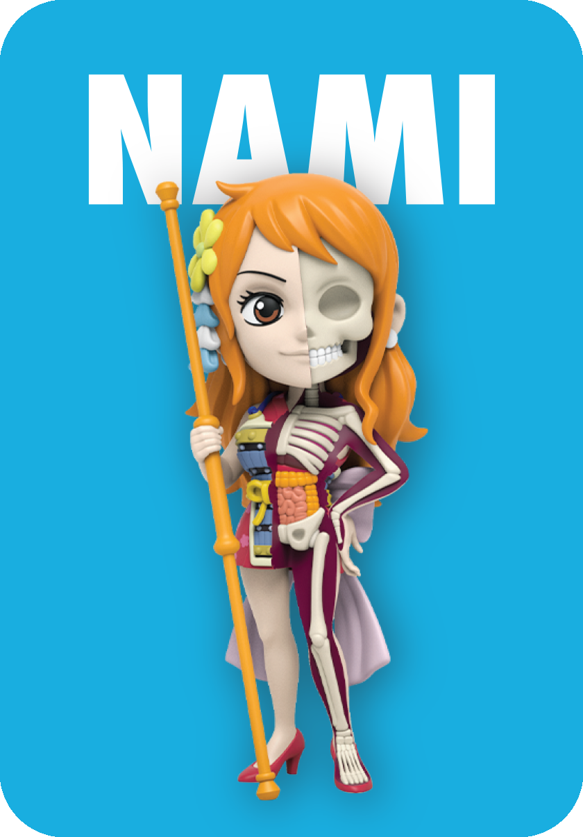 Freeny’s Hidden Dissectibles: One Piece (Ladies Edition) - 图片 12